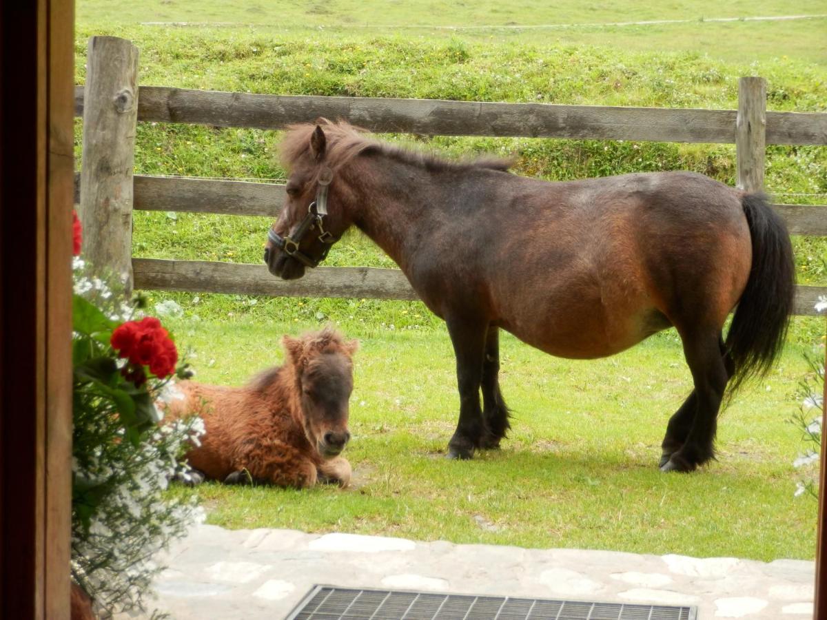 Gollehenhof Lejlighed Sankt Johann im Pongau Eksteriør billede