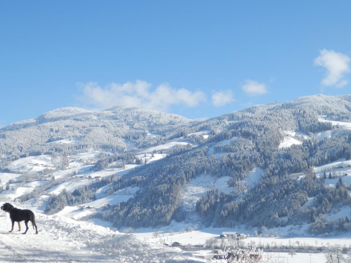 Gollehenhof Lejlighed Sankt Johann im Pongau Eksteriør billede